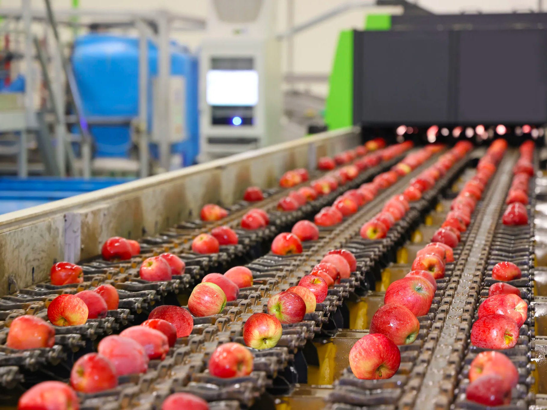 Apples on conveyor belt 